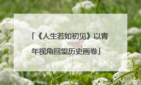 《人生若如初见》以青年视角回望历史画卷