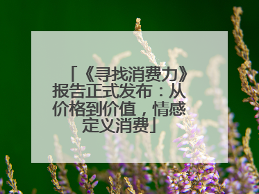 《寻找消费力》报告正式发布：从价格到价值，情感定义消费