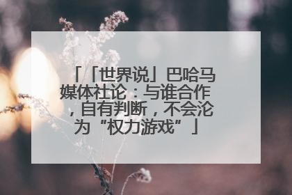 「世界说」巴哈马媒体社论：与谁合作，自有判断，不会沦为“权力游戏”