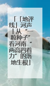 「地评线」河声丨从“一粒种子”看河南“两高四着力”的落地生根