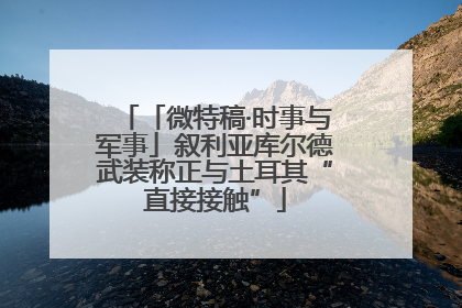 「微特稿·时事与军事」叙利亚库尔德武装称正与土耳其“直接接触”