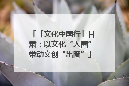 「文化中国行」甘肃：以文化“入圈”带动文创“出圈”