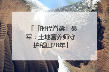 「时代脊梁」聂军：土地营养师守护稻田28年