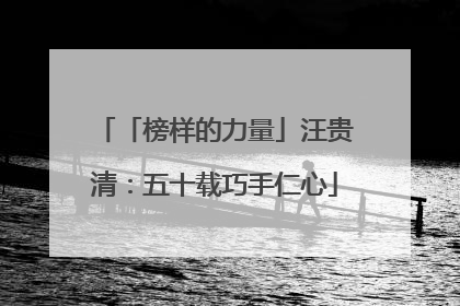「榜样的力量」汪贵清：五十载巧手仁心