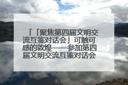 「聚焦第四届文明交流互鉴对话会」可触可感的敦煌——参加第四届文明交流互鉴对话会的外宾参观上元市集