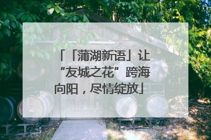 「蒲湖新语」让“友城之花”跨海向阳，尽情绽放