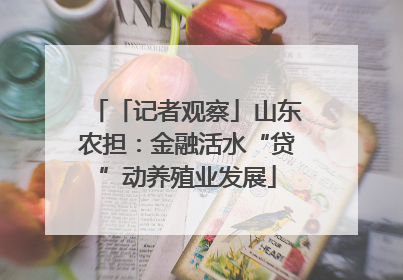 「记者观察」山东农担：金融活水“贷”动养殖业发展