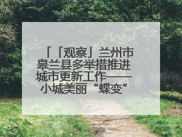 「观察」兰州市皋兰县多举措推进城市更新工作——小城美丽“蝶变” 居民幸福升级