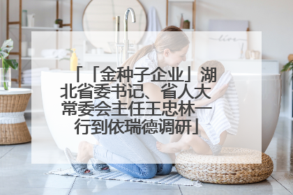 「金种子企业」湖北省委书记、省人大常委会主任王忠林一行到依瑞德调研