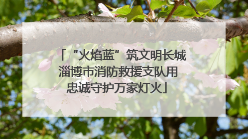 “火焰蓝”筑文明长城 淄博市消防救援支队用忠诚守护万家灯火