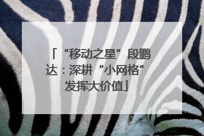 “移动之星”段鹏达：深耕“小网格” 发挥大价值