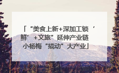 “美食上新+深加工锁‘鲜’+文旅”延伸产业链 小杨梅“撬动”大产业