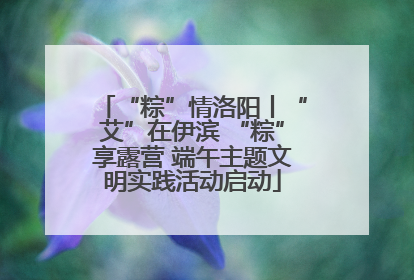 “粽”情洛阳丨“艾”在伊滨 “粽”享露营 端午主题文明实践活动启动
