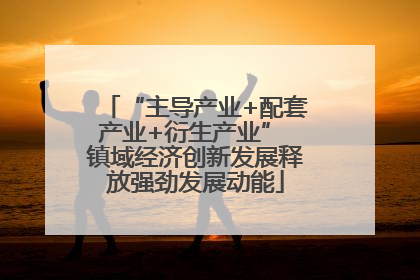 “主导产业+配套产业+衍生产业” 镇域经济创新发展释放强劲发展动能