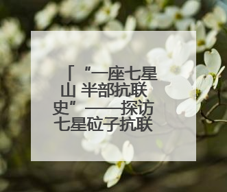 “一座七星山 半部抗联史”——探访七星砬子抗联密营遗址