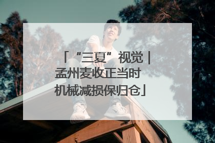 “三夏”视觉｜孟州麦收正当时 机械减损保归仓