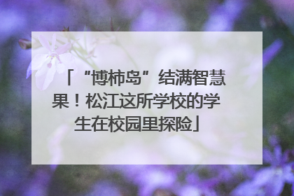 “博柿岛”结满智慧果！松江这所学校的学生在校园里探险