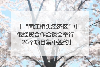 “同江桥头经济区”中俄经贸合作洽谈会举行 26个项目集中签约