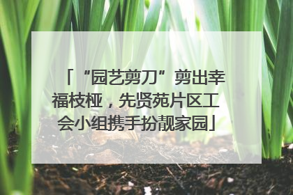 “园艺剪刀”剪出幸福枝桠，先贤苑片区工会小组携手扮靓家园