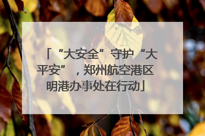 “大安全”守护“大平安”，郑州航空港区明港办事处在行动