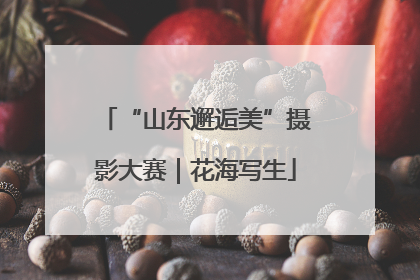 “山东邂逅美”摄影大赛｜花海写生