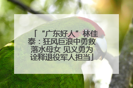 “广东好人”林佳泰：狂风巨浪中勇救落水母女 见义勇为诠释退役军人担当