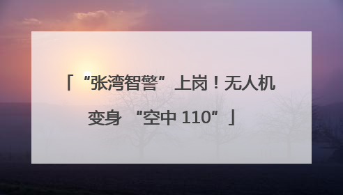“张湾智警”上岗！无人机变身 “空中 110”