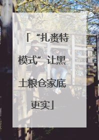 “扎赉特模式”让黑土粮仓家底更实