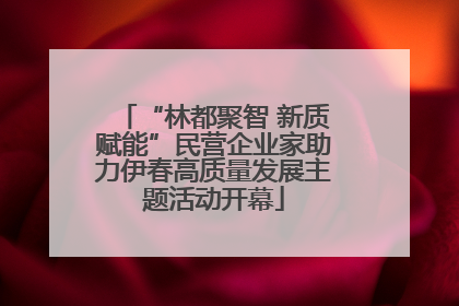 “林都聚智 新质赋能”民营企业家助力伊春高质量发展主题活动开幕