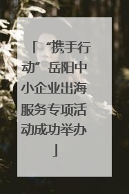 “携手行动”岳阳中小企业出海服务专项活动成功举办