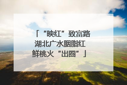 “映红”致富路 湖北广水胭脂红鲜桃火“出圈”