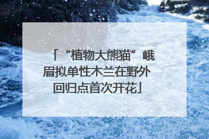 “植物大熊猫”峨眉拟单性木兰在野外回归点首次开花