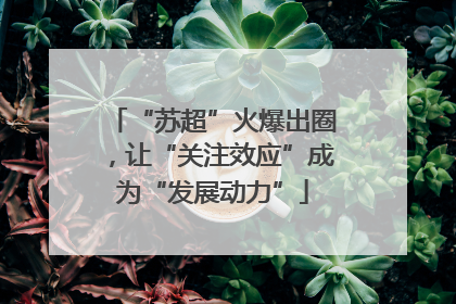 “苏超”火爆出圈，让“关注效应”成为“发展动力”
