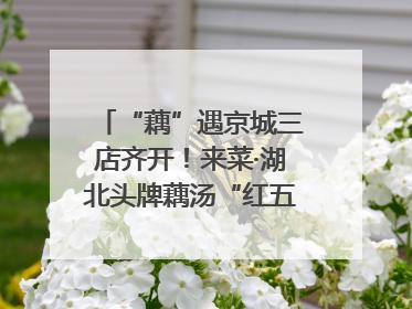 “藕”遇京城三店齐开！来菜·湖北头牌藕汤“红五月”再掀荆楚美食文化风暴