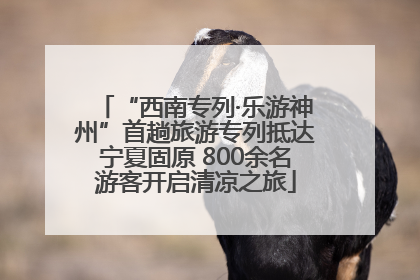 “西南专列·乐游神州”首趟旅游专列抵达宁夏固原 800余名游客开启清凉之旅