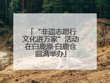 “非遗志愿行 文化进万家”活动在白鹿原·白鹿仓圆满举办