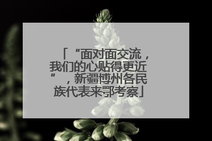 “面对面交流，我们的心贴得更近”，新疆博州各民族代表来鄂考察