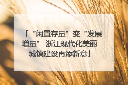 “闲置存量”变“发展增量” 浙江现代化美丽城镇建设再添新意