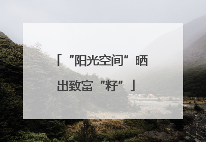 “阳光空间”晒出致富“籽”