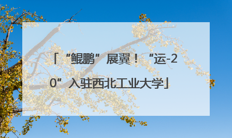 “鲲鹏”展翼！“运-20”入驻西北工业大学