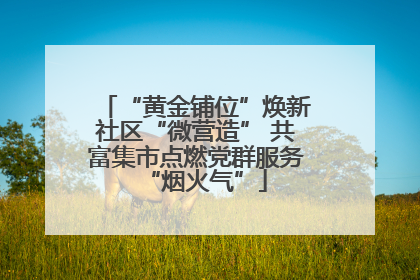 “黄金铺位”焕新社区“微营造” 共富集市点燃党群服务“烟火气”
