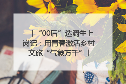 “00后”选调生上岗记：用青春激活乡村文旅“气象万千”