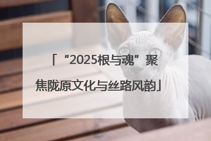 “2025根与魂”聚焦陇原文化与丝路风韵