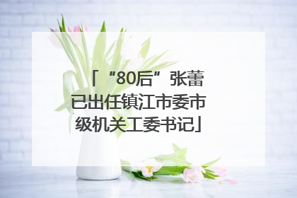 “80后”张蕾已出任镇江市委市级机关工委书记