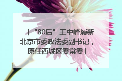 “80后”王中峰履新北京市委政法委副书记，原任西城区委常委