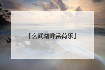 玄武湖畔赏荷乐