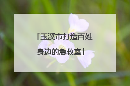玉溪市打造百姓身边的急救室