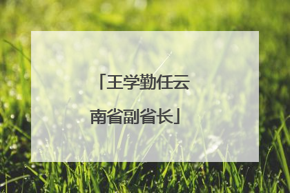 王学勤任云南省副省长