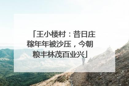 王小楼村：昔日庄稼年年被沙压，今朝粮丰林茂百业兴