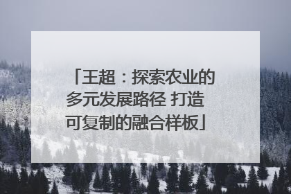 王超：探索农业的多元发展路径 打造可复制的融合样板